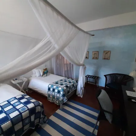 Figtree Guesthouse-3