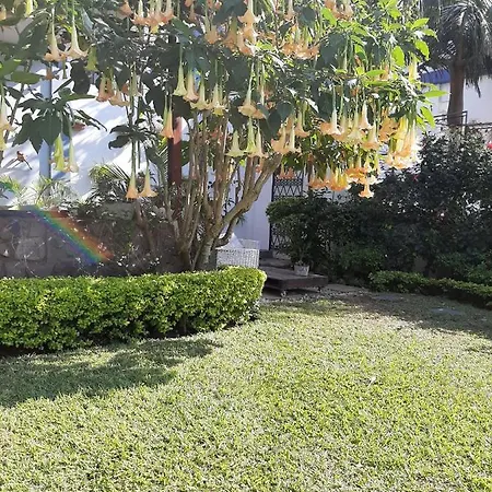 Figtree Guesthouse-2