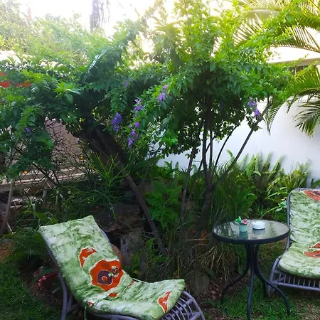 Acacia Inn Guesthouse-2