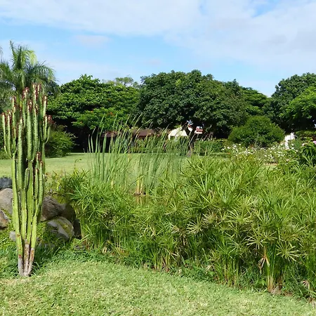 Ancha'S Oasis-3