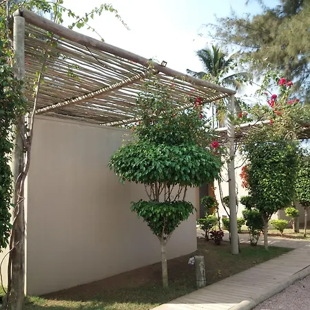 Liv Inn Guest House-3